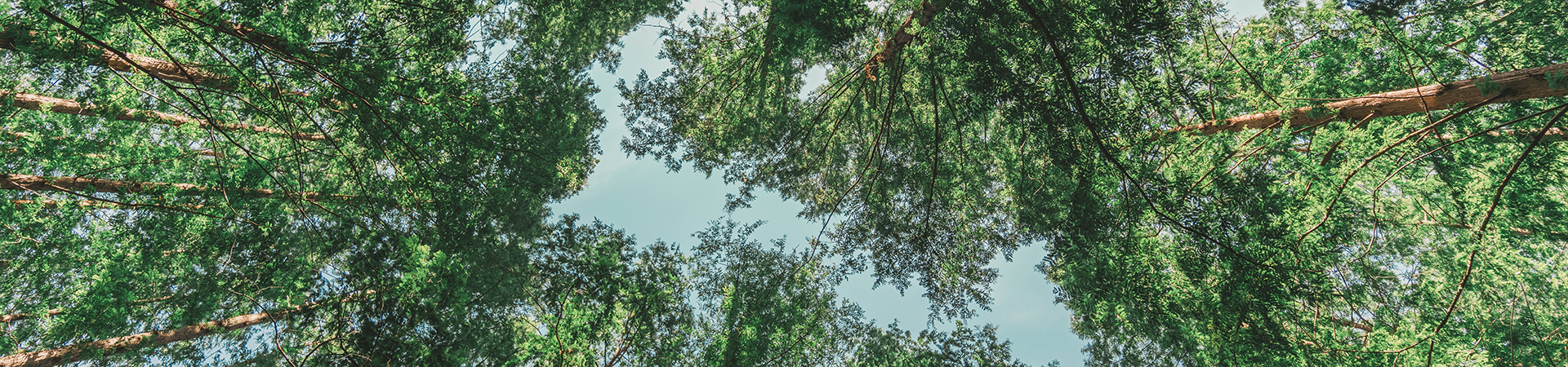 Acerca de Ecogarments