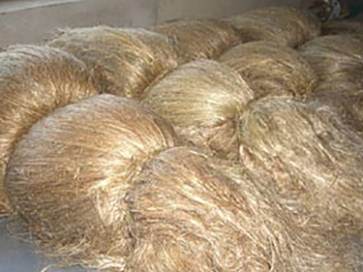 Organikong Linen Fiber (1)