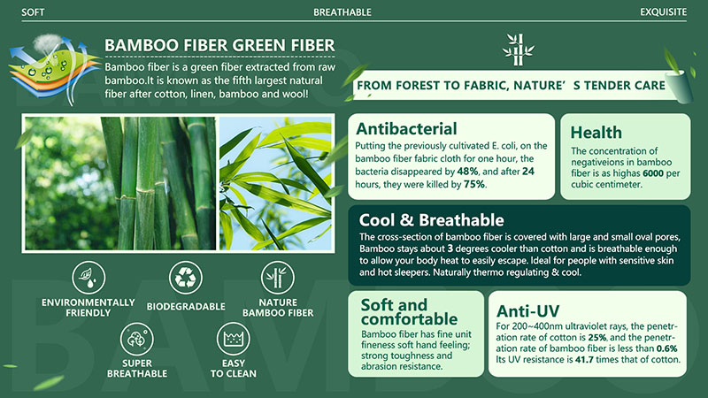 Bamboo Solution (1)