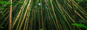 Eco-Material-Style