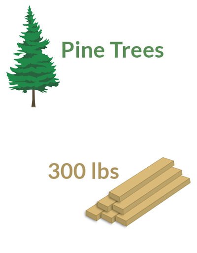 Growth_Rate_Pine