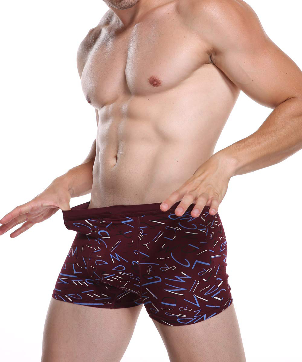 Men's Underwear Soft Bamboo Boxer Briefs  (6)
