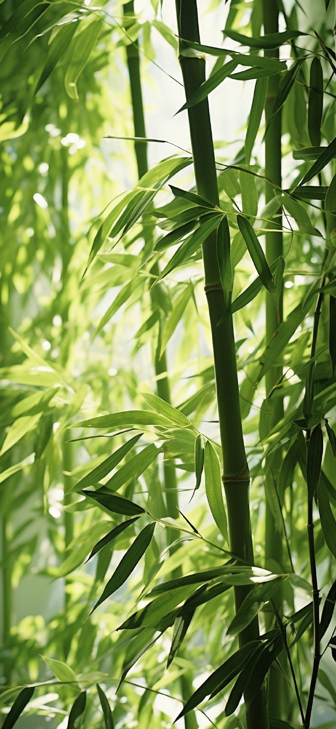 natural bamboo